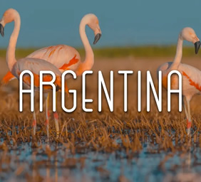 Argentina Gay Travel