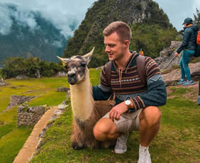 Peru gay tour llama