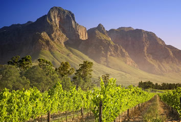Cape Winelands gay tour