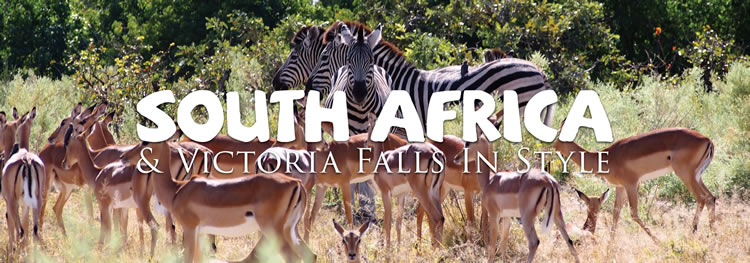 South Africa Luxury Gay Tour