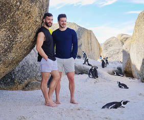 Cape Town penguins