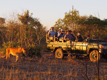 Kruger Park gay safari