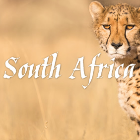 South Africa Gay Travel