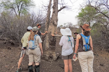 South Africa lesbian safari trip