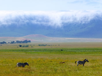 Tanzania gay safari - Ngorongoro Crater