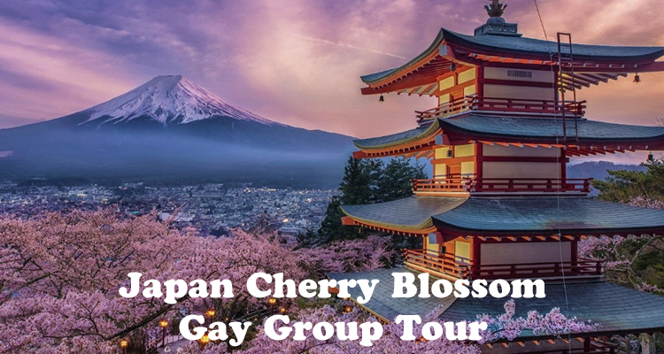 Japan Cherry Blossom Gay Group Tour
