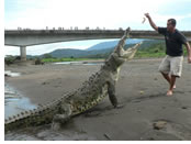 Costa Rica crocodile safari
