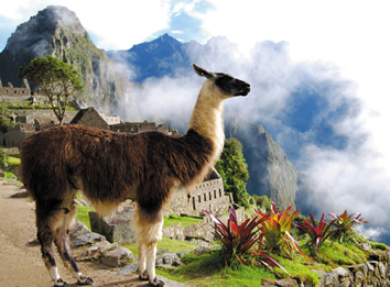Gay only Peru tour