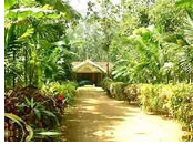 Kerala gay tour - spice plantation