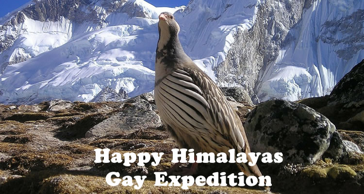 Himalayas Gay Adventure Tour