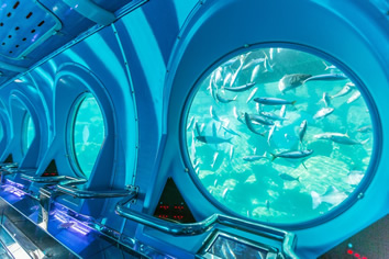 Gay Gran Canaria submarine excursion