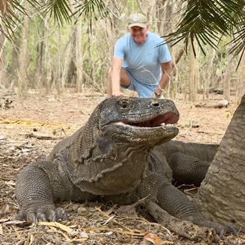 Komodo gay cruise - Komodo dragon