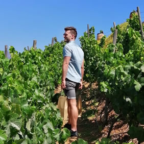 Chile wine region gay tour