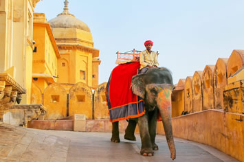Jaipur India gay tour