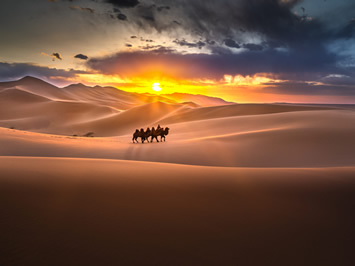 Gobi Dunes gay tour