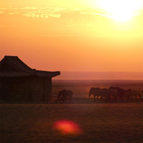 Mongolia gay adventure tour tour