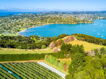 New Zealand gay tour - Waiheke Island