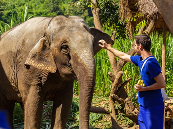Chiang Mai elephant sanctuary gay tour