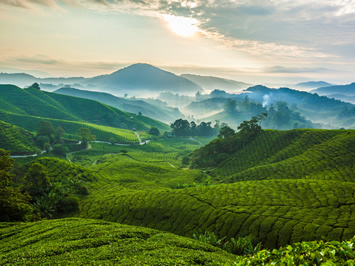 Malaysia gay rail journey