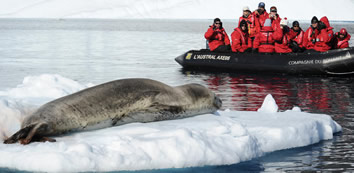 Antarctica gay cruise adventure