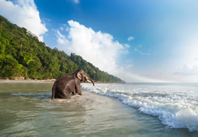 Andaman India gay travel