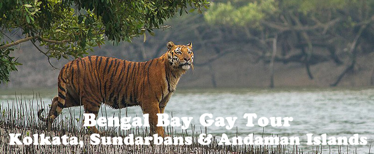 Bengal Bay India Gay Tour - Kolkata, Sundarbans & Andaman Islands ...