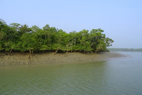 Sundarbans India gay tour