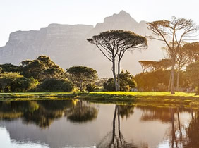 Gay Cape Town tour