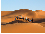 Morocco gay tour - Desert camel ride