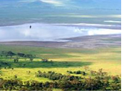 Tanzania Gay Safari - Ngorongoro Crater