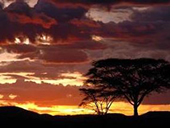 Tanzania sunrise