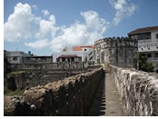 Zanzibar gay tour - castle