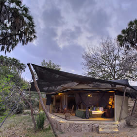 Nyerere safari lodge