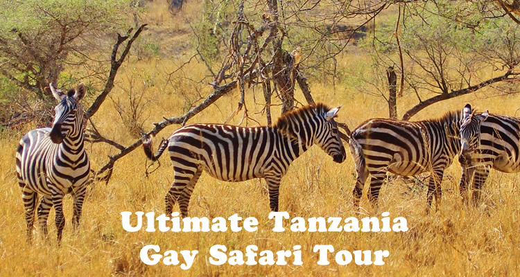 Ultimate Tanzania Gay Safari Tour