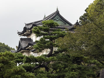 Tokyo gay tour - Imperial Palace