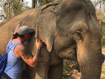 Laos gay tour - Elephant Sanctuary