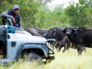 Silvan Game Reserve gay safar