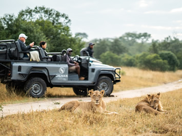 Silvan gay safari