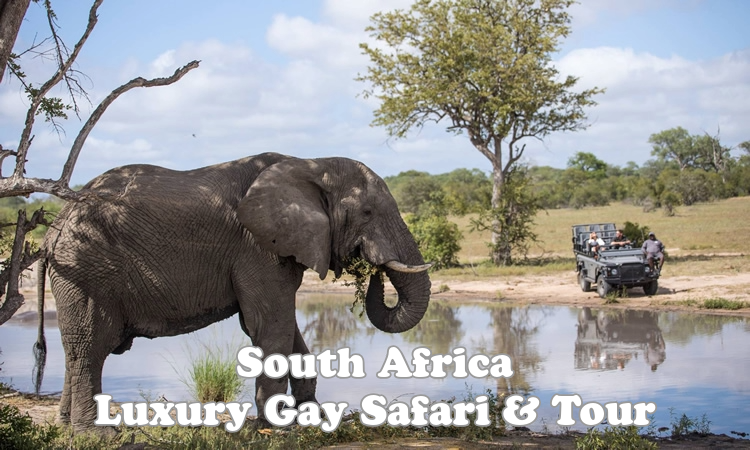 South Africa Luxury Gay Safari & Tour