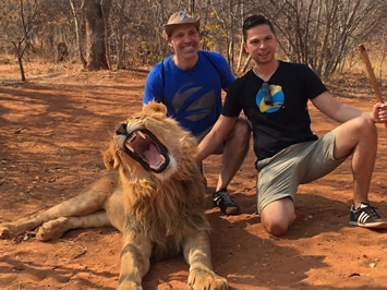 Victoria Falls lions