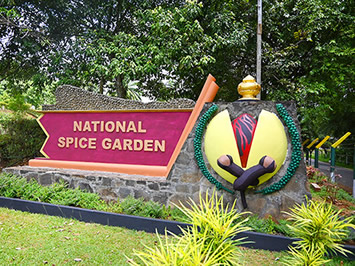 Sri Lanka gay tour - Matale Spice Garden