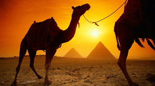 All Gay Egypt Tour and Nile Cruise 2023