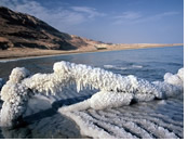 Dead Sea gay tour