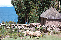 Zoom Vacations exclusively gay Lake Titicaca tour