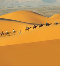 Gay Morocco tour