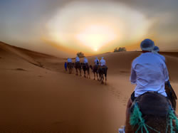 Morocco gay group deluxe tour