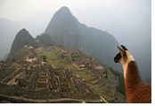 Zoom Vacations exclusively Gay tour to Peru, visiting Machu Picchu