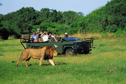 All Gay South Africa Safari tour